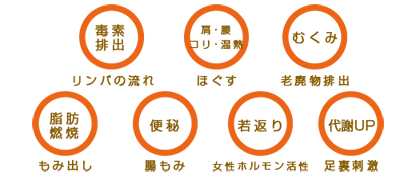 施術内容と効果