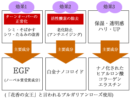 ゴールドプリンセス図