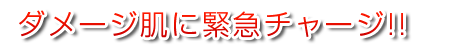 ダメージ肌に緊急チャージ